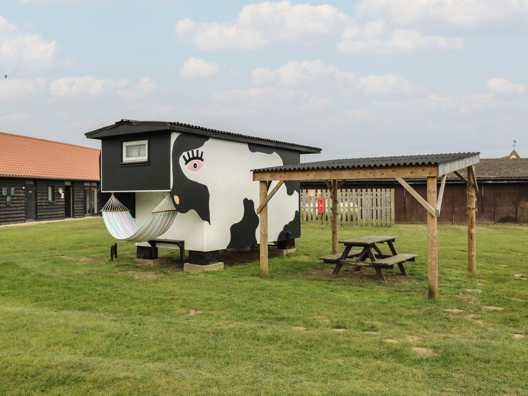 Bluebelle (Cow Shed 5)