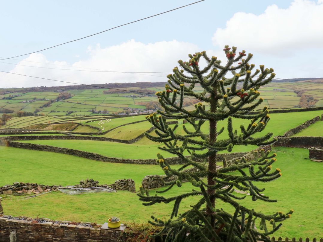 Stone & Fleece Cottage