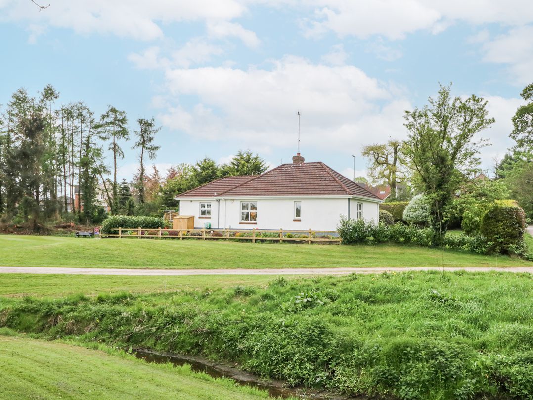 Shirley's House