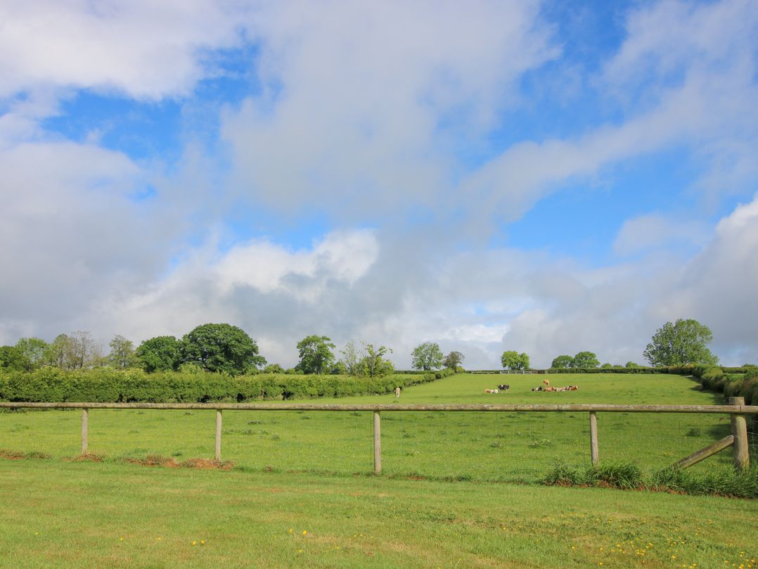 The Long House