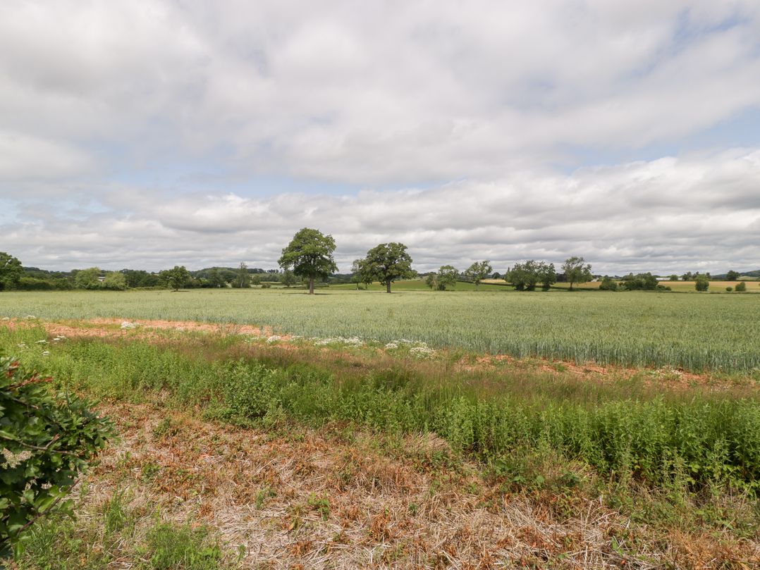 Little Acorn Cottage