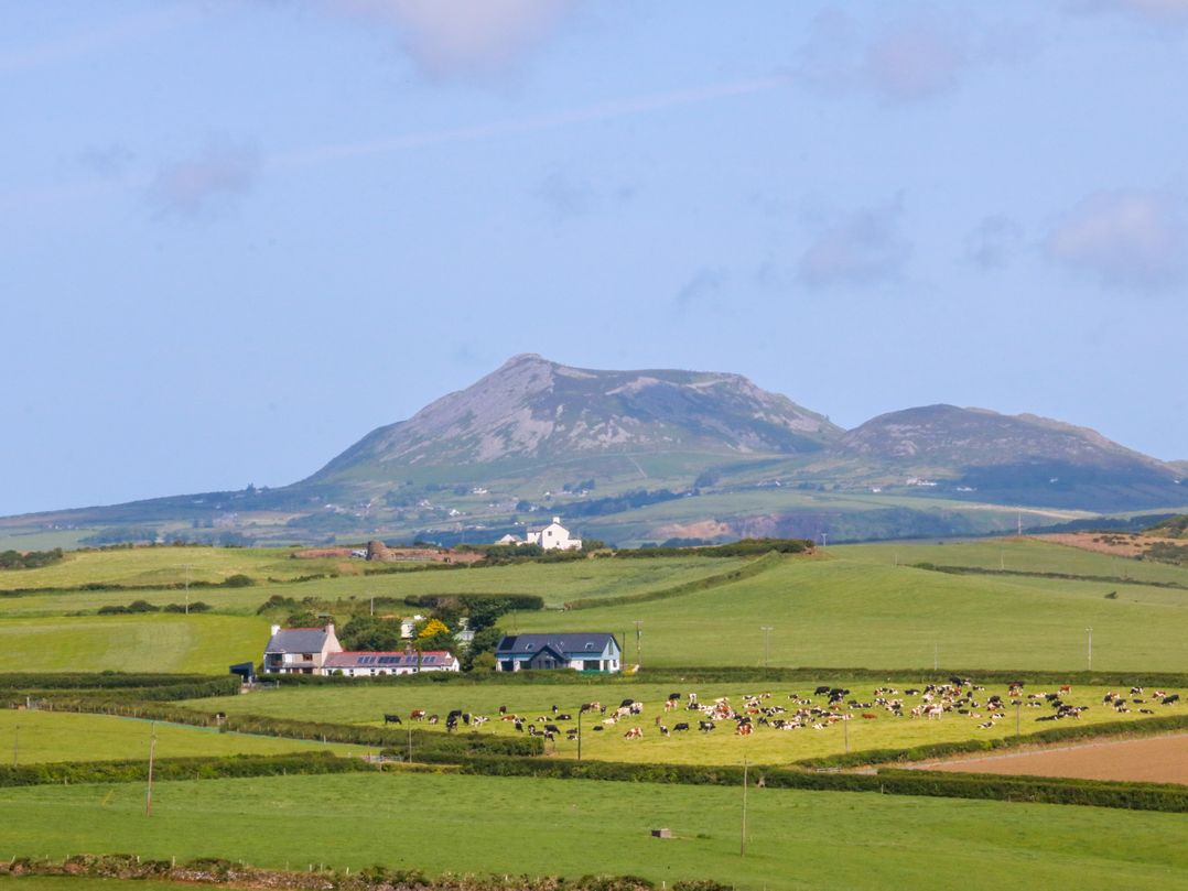 Brynffynon