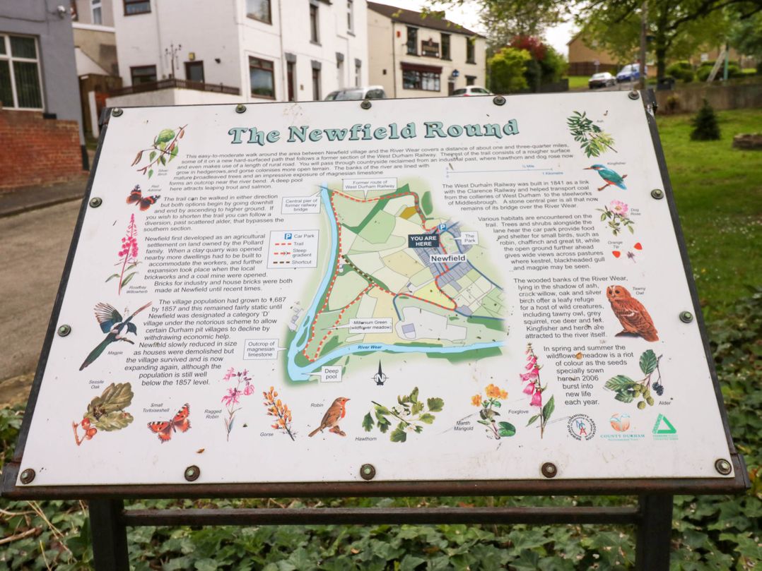 Newfield Apartment