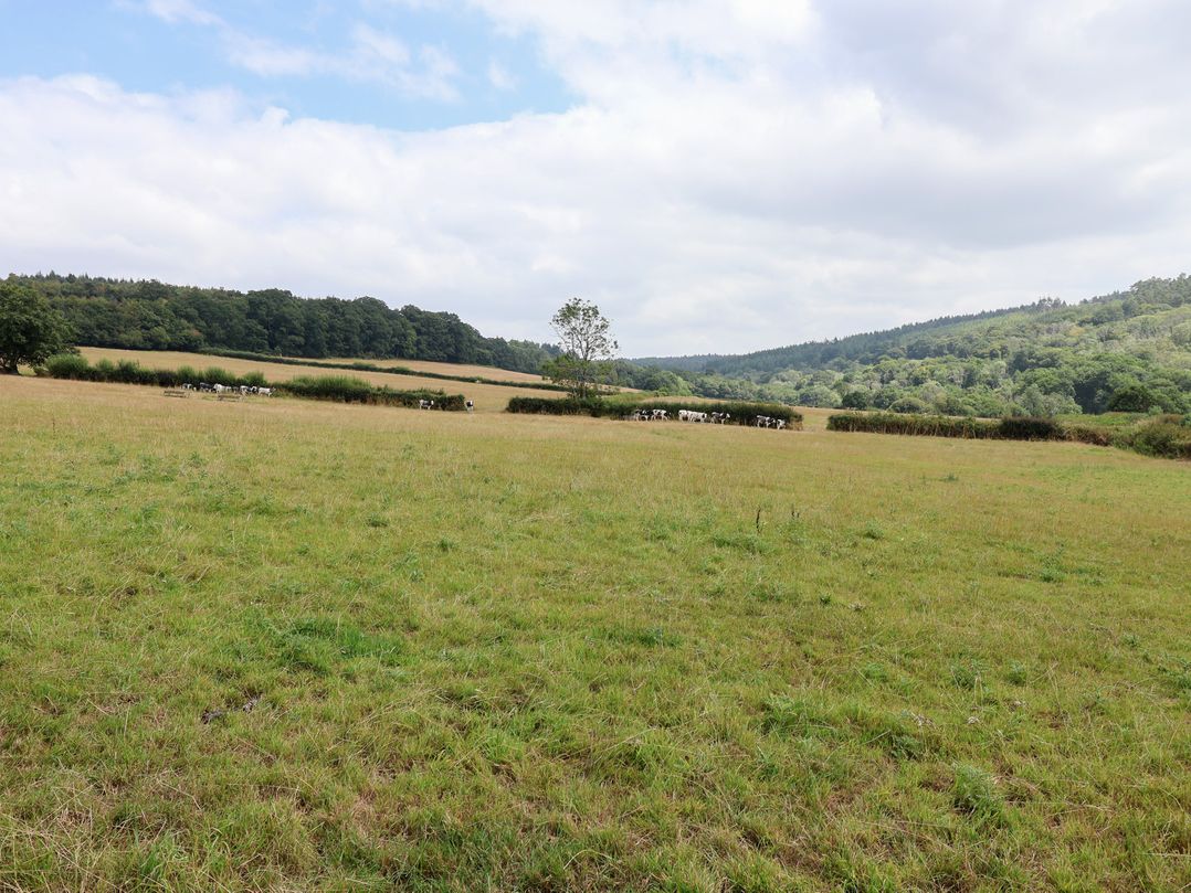 A Devon Den at Harcombe House