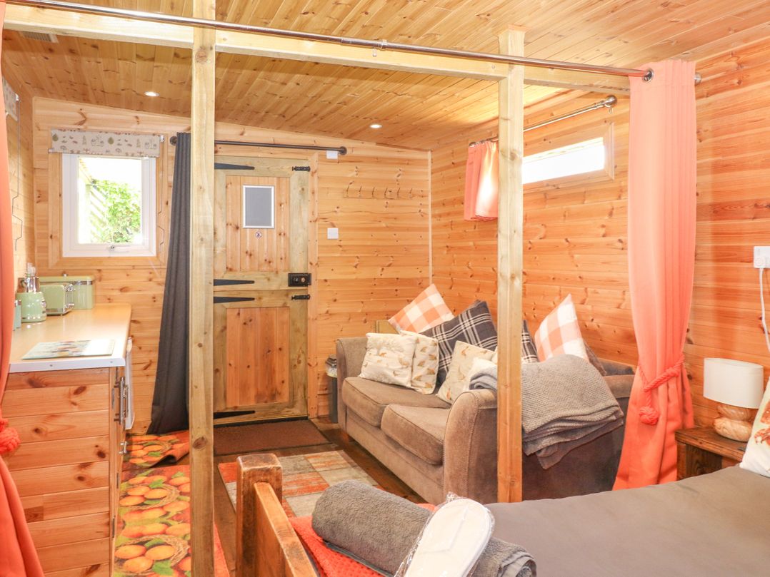 The Cabin