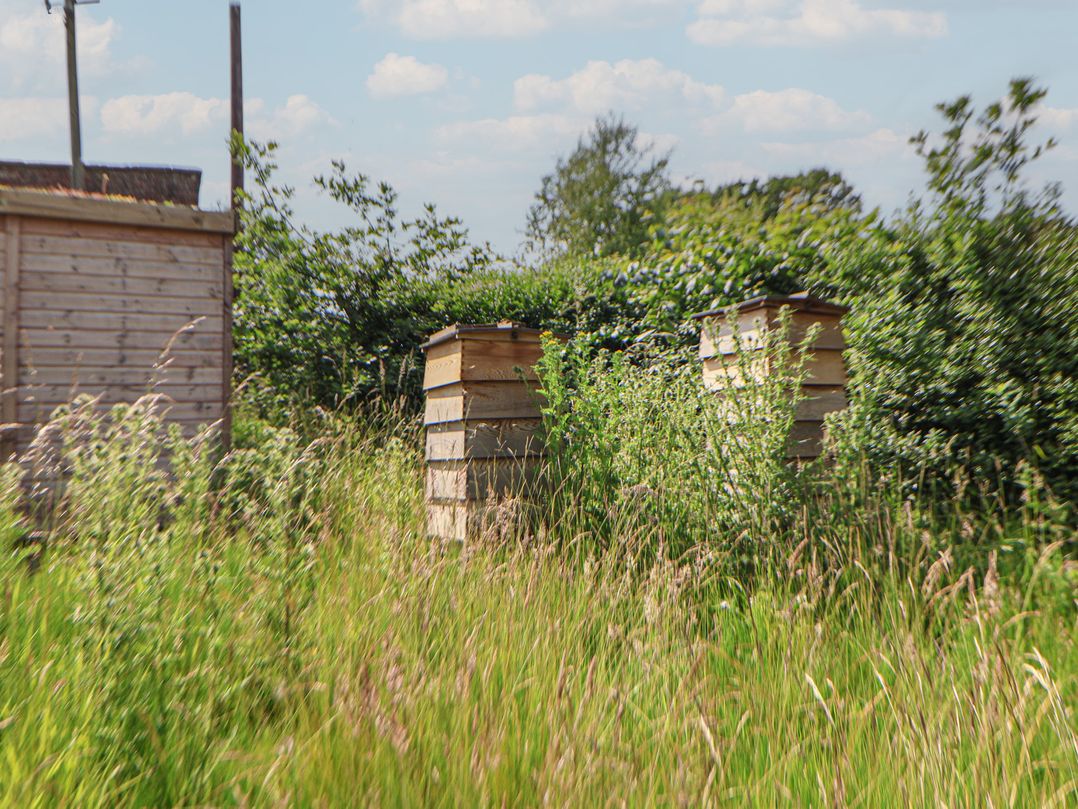 The Garden Hut