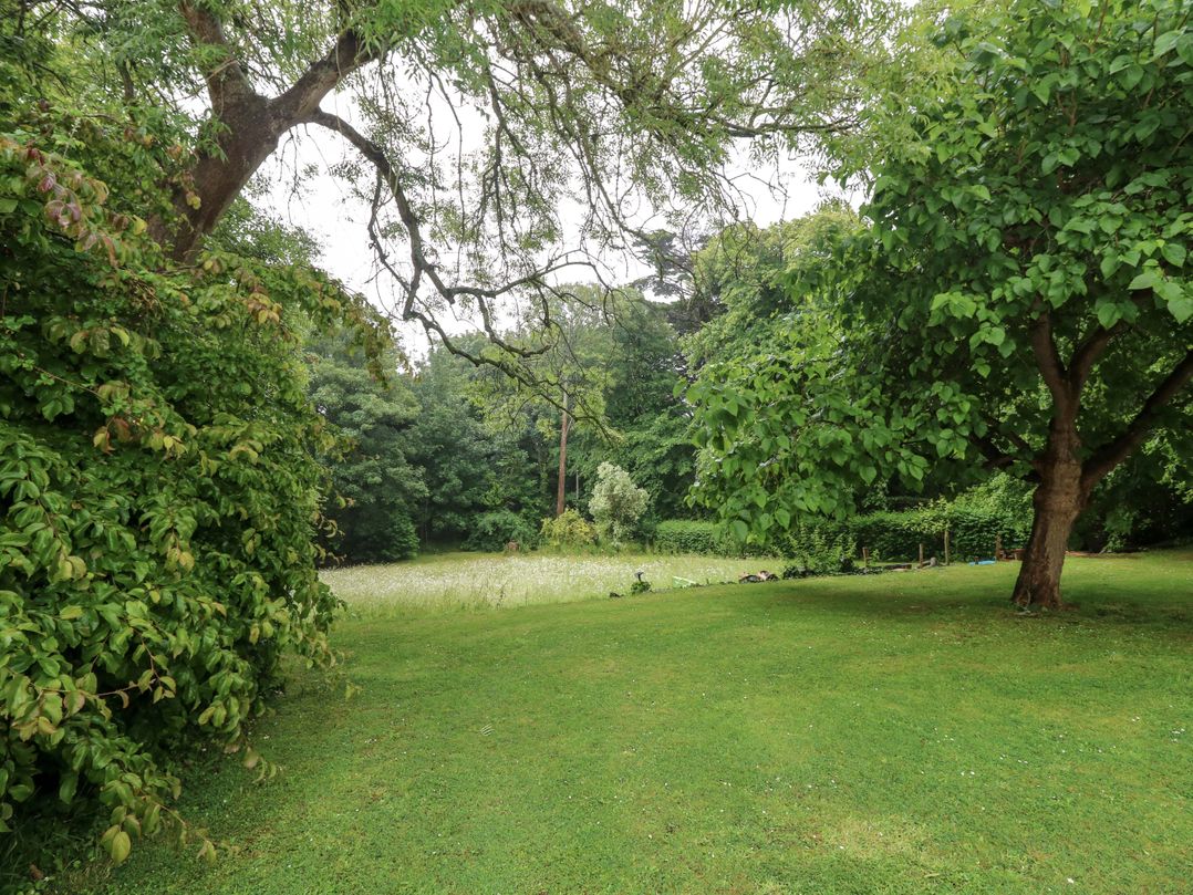 Woodlands