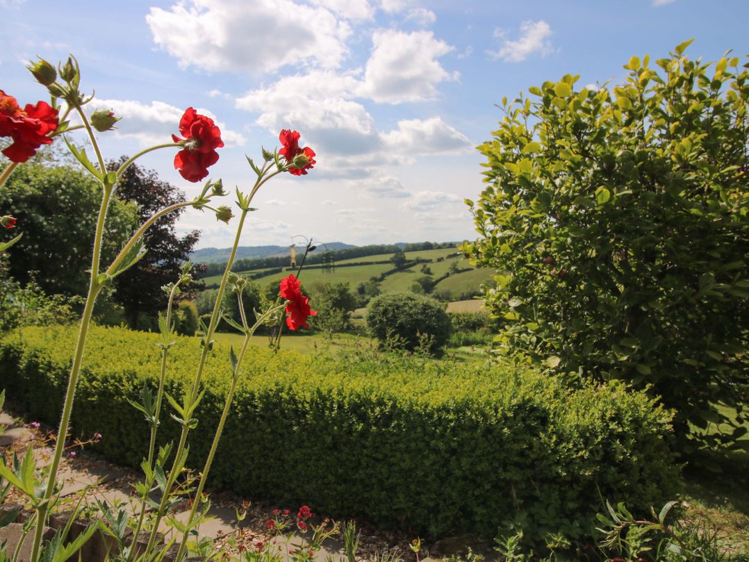Callow Cottage