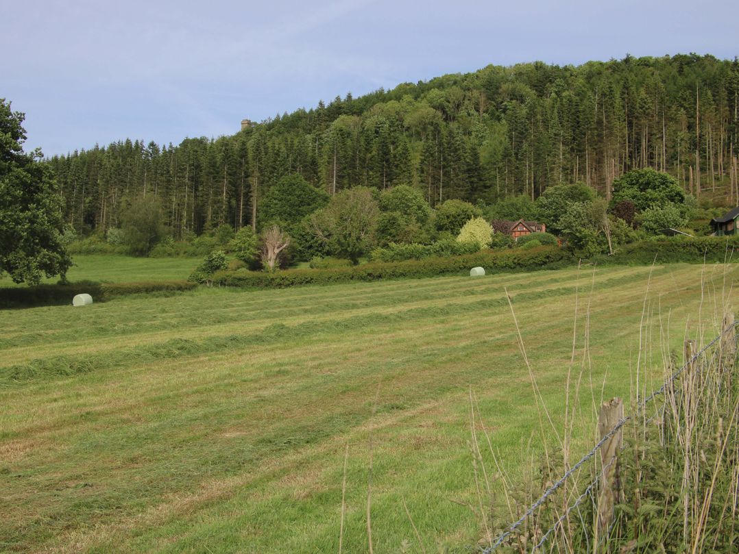 Callow Cottage
