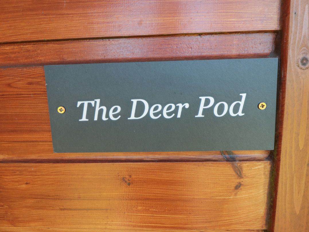 Deer Pod