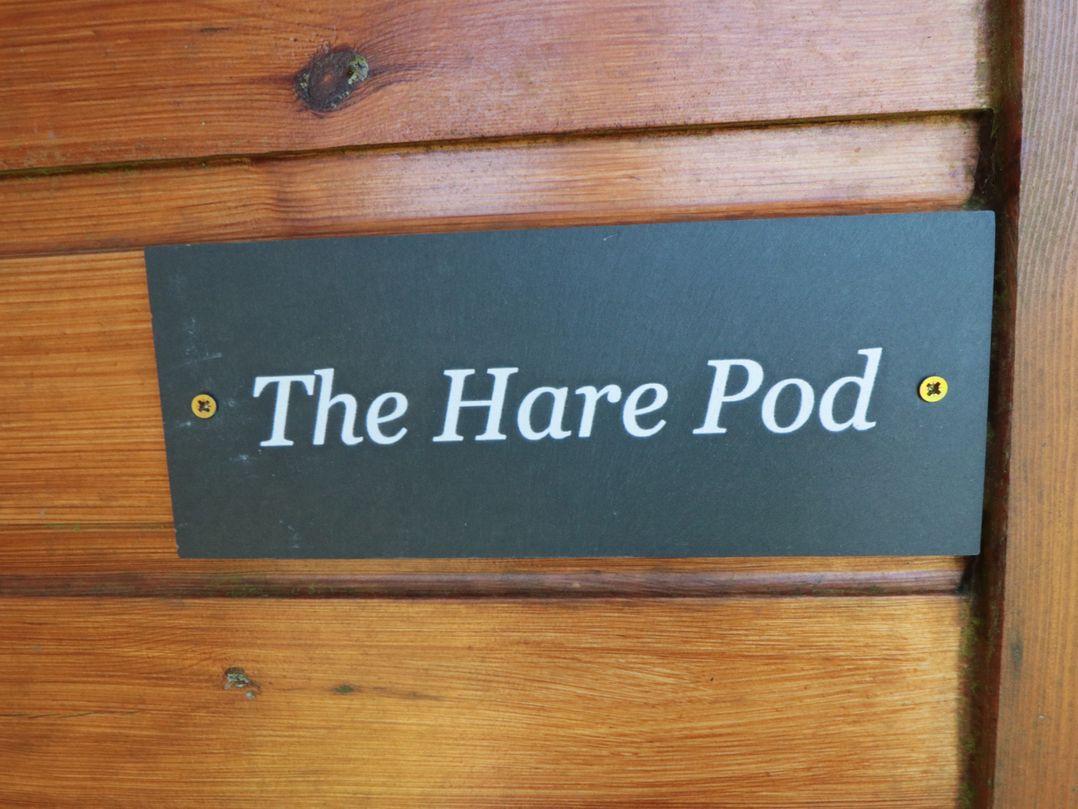 Hare Pod