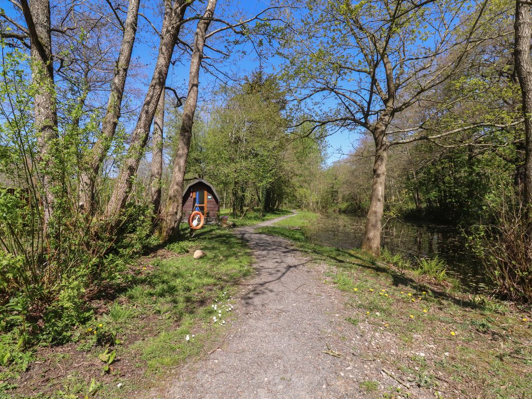 Butterfly Hut 2