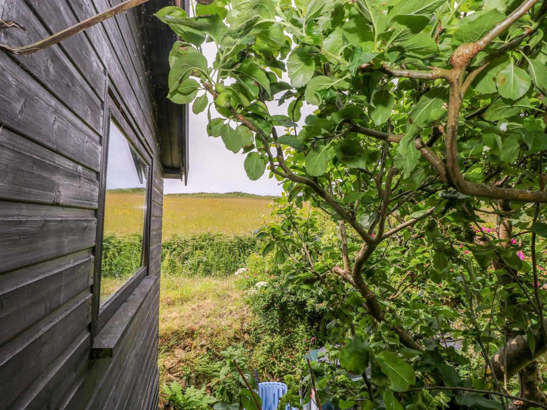 The Tree House