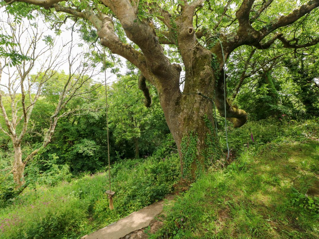 The Tree House