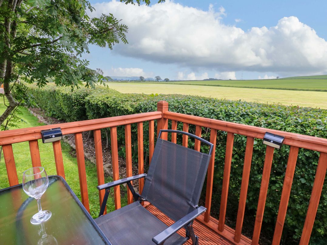 12 Field View