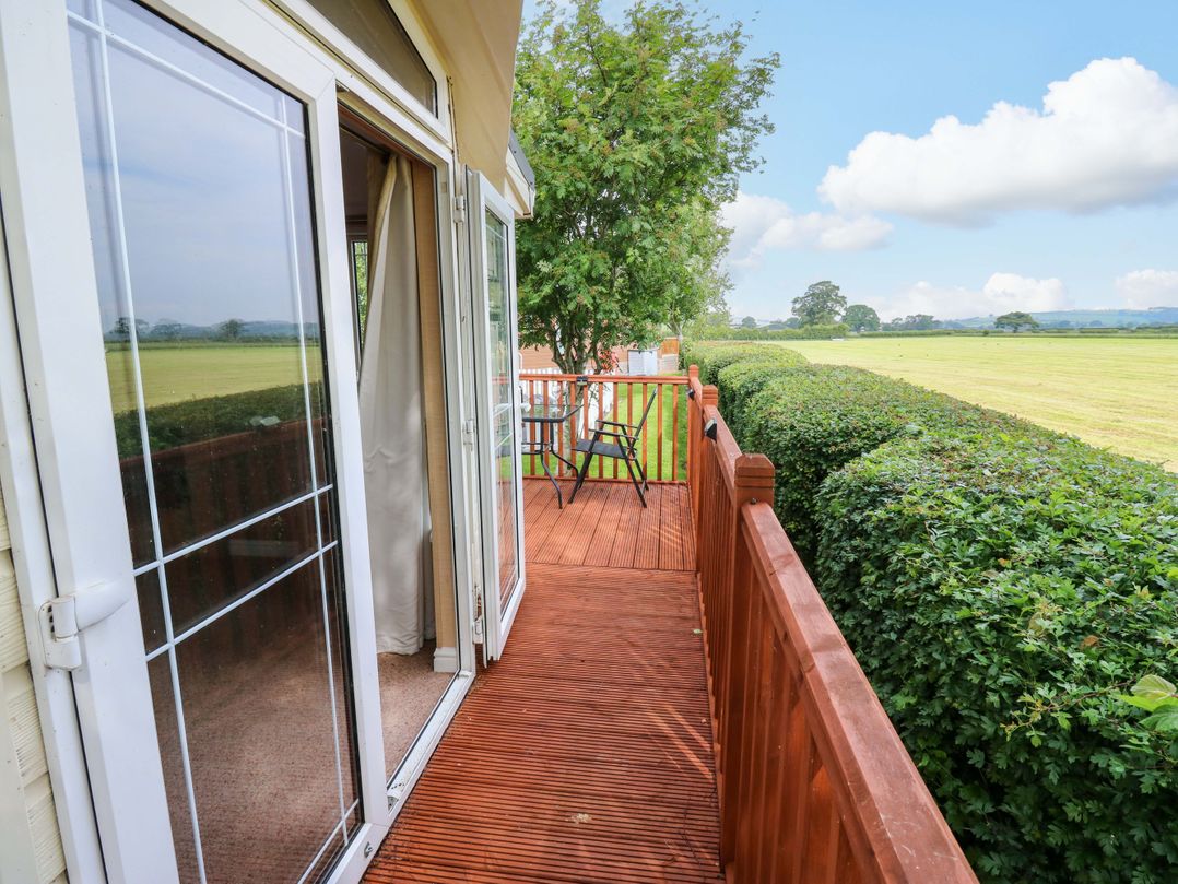 12 Field View