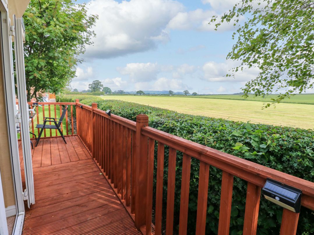 12 Field View