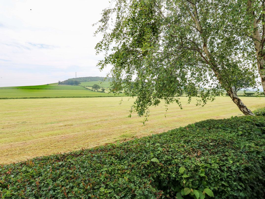 12 Field View