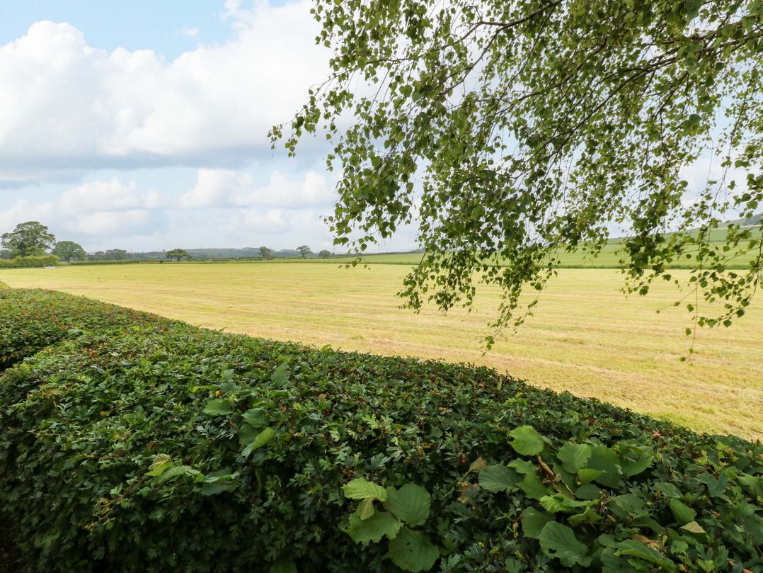 12 Field View