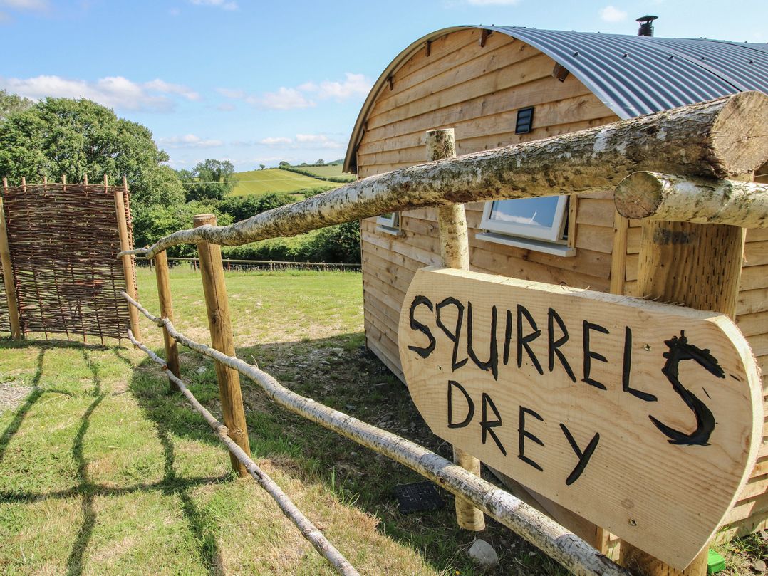 Squirrel's Drey