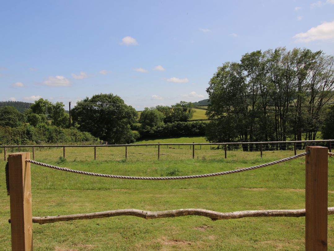 Owl's Hollow
