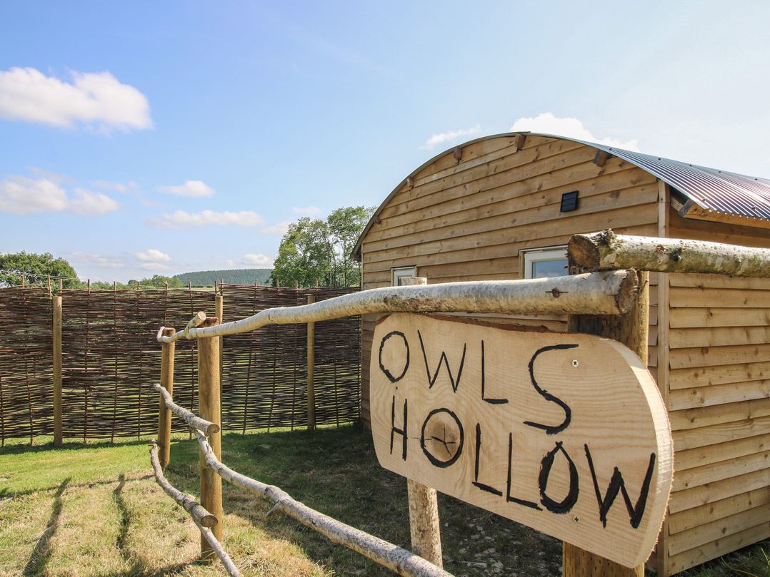 Owl's Hollow