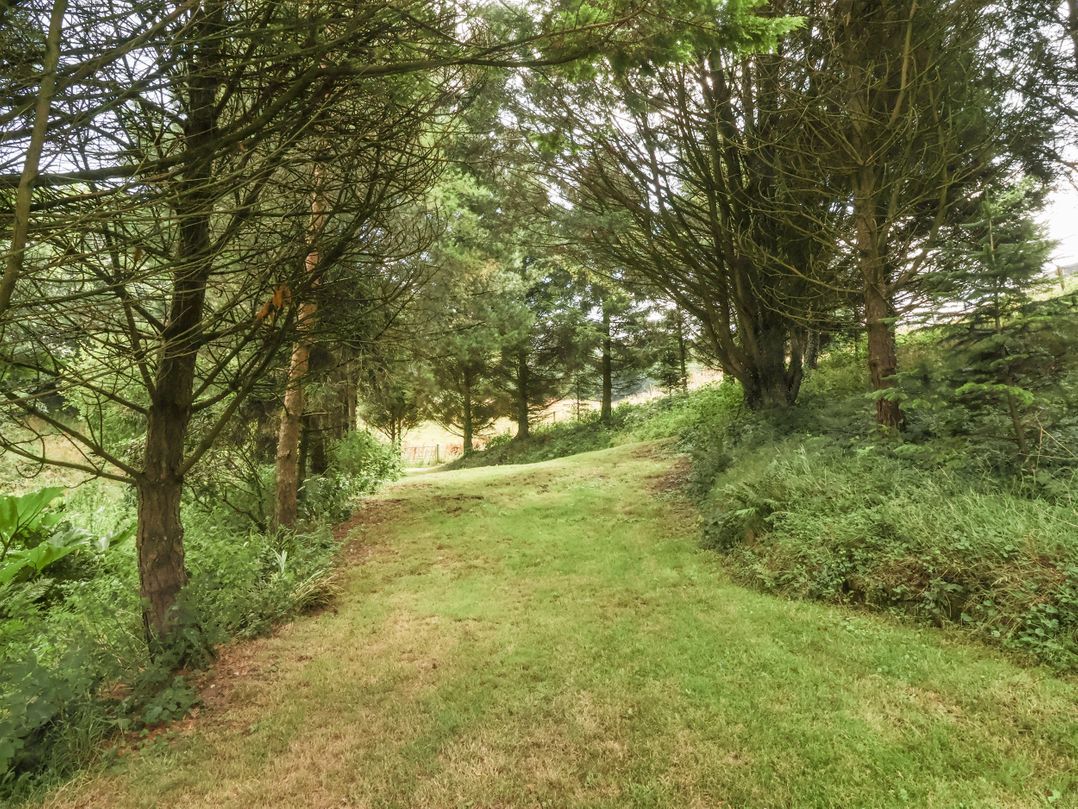 Lane End