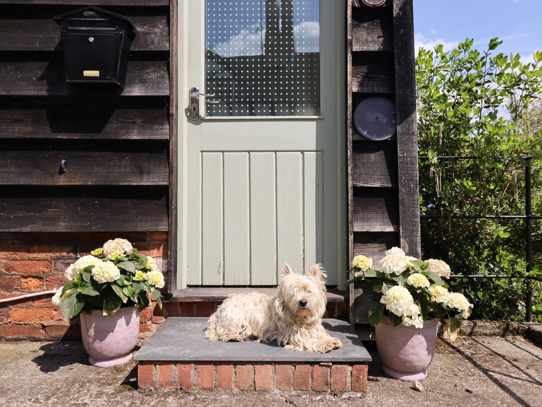 Upper Pandy Farm