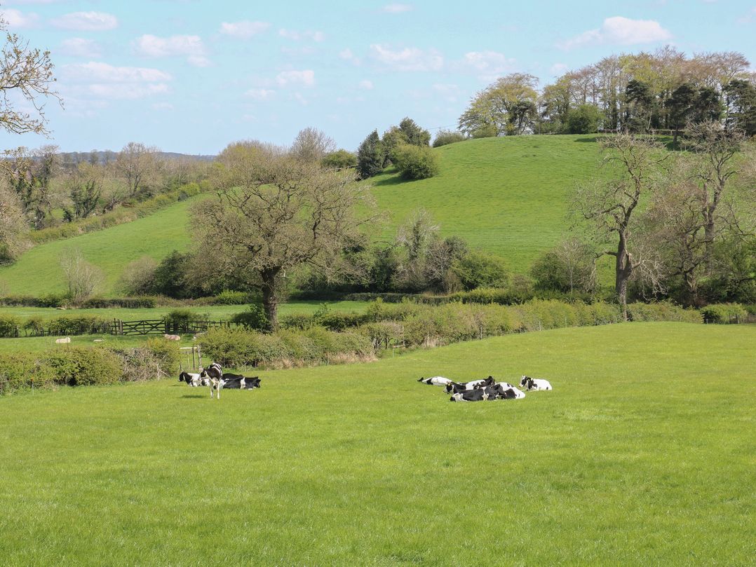 Carr House Farm