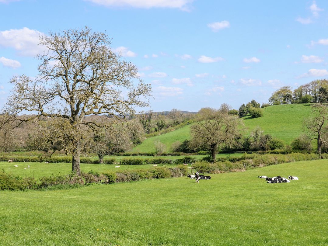 Carr House Farm