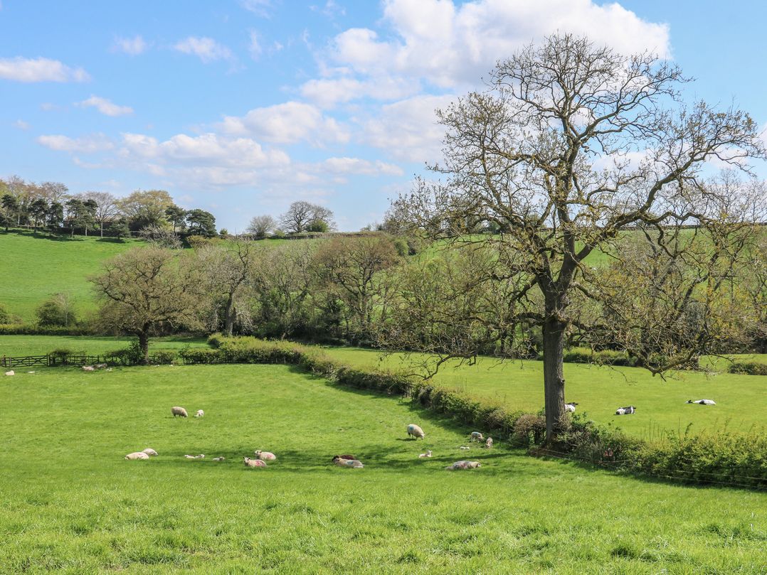 Carr House Farm