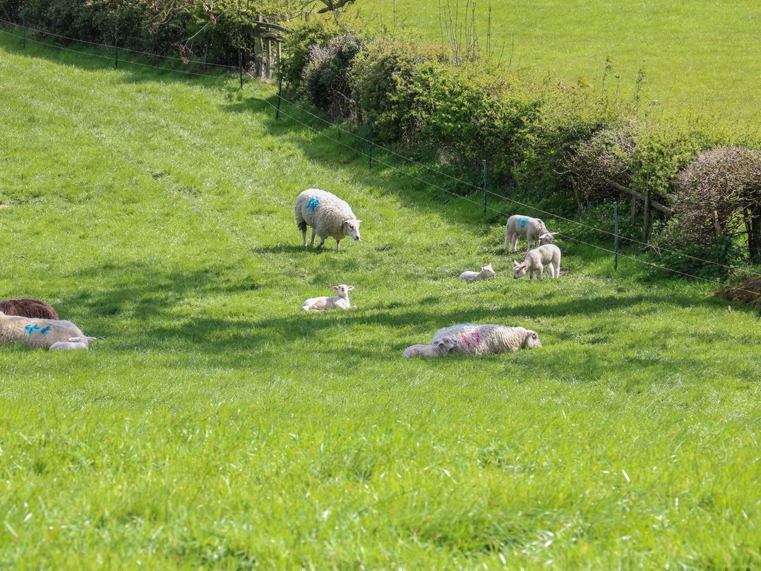 Carr House Farm