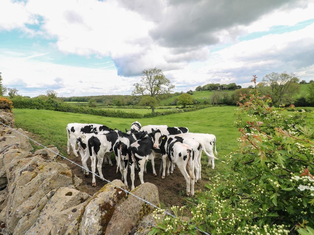 Carr House Farm