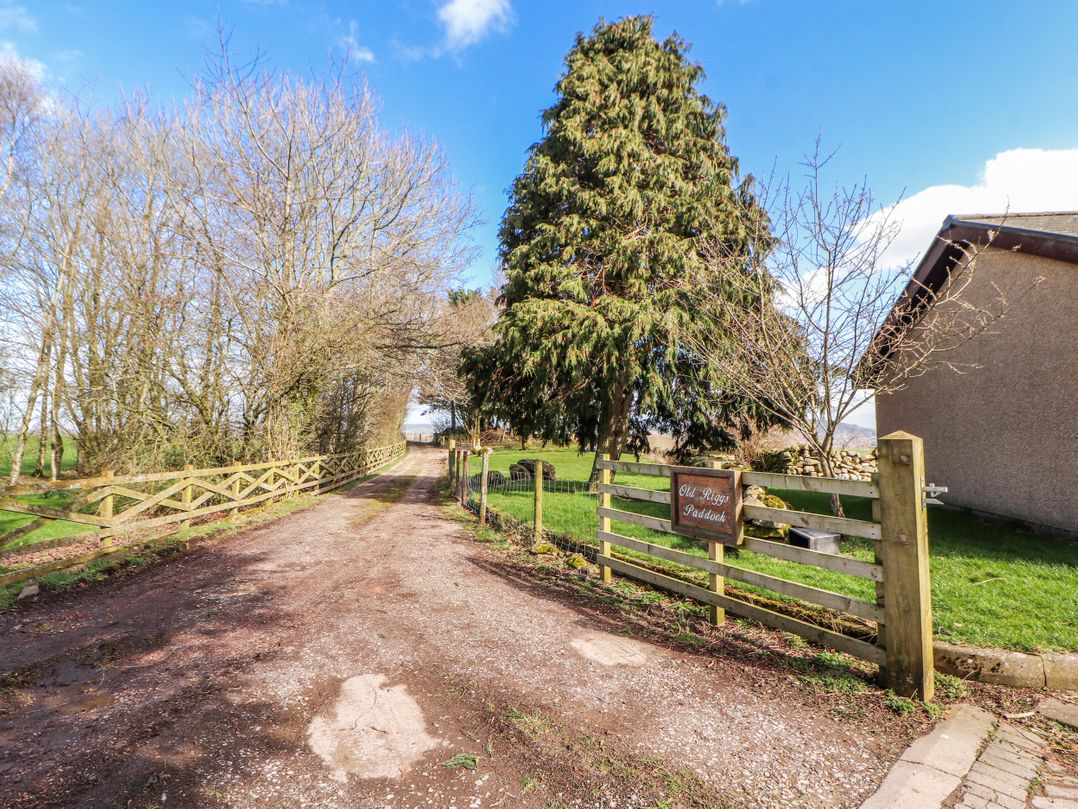 Old Riggs Paddock
