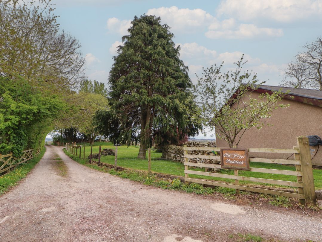 Old Riggs Paddock