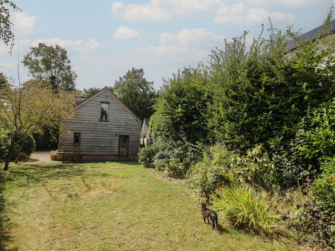 The Shed