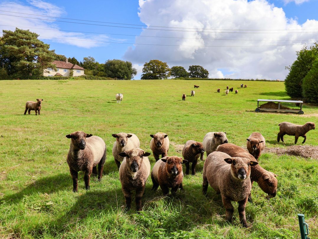 The Cottage Middle Westwater