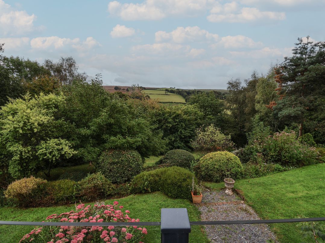 Hedgerose