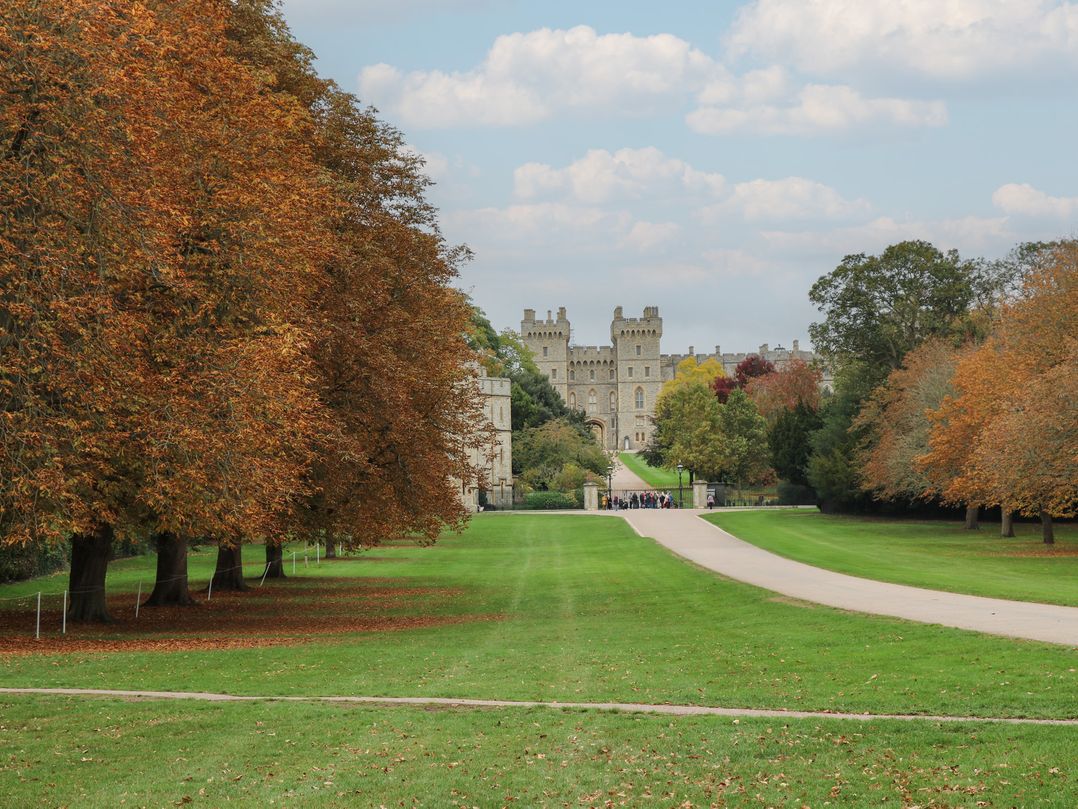 Castle View