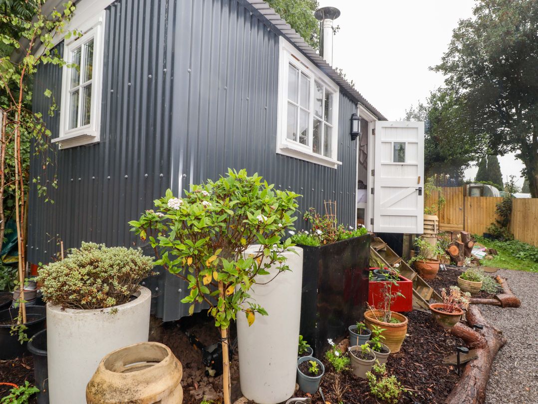 King's Cwtch Shepherd's Hut