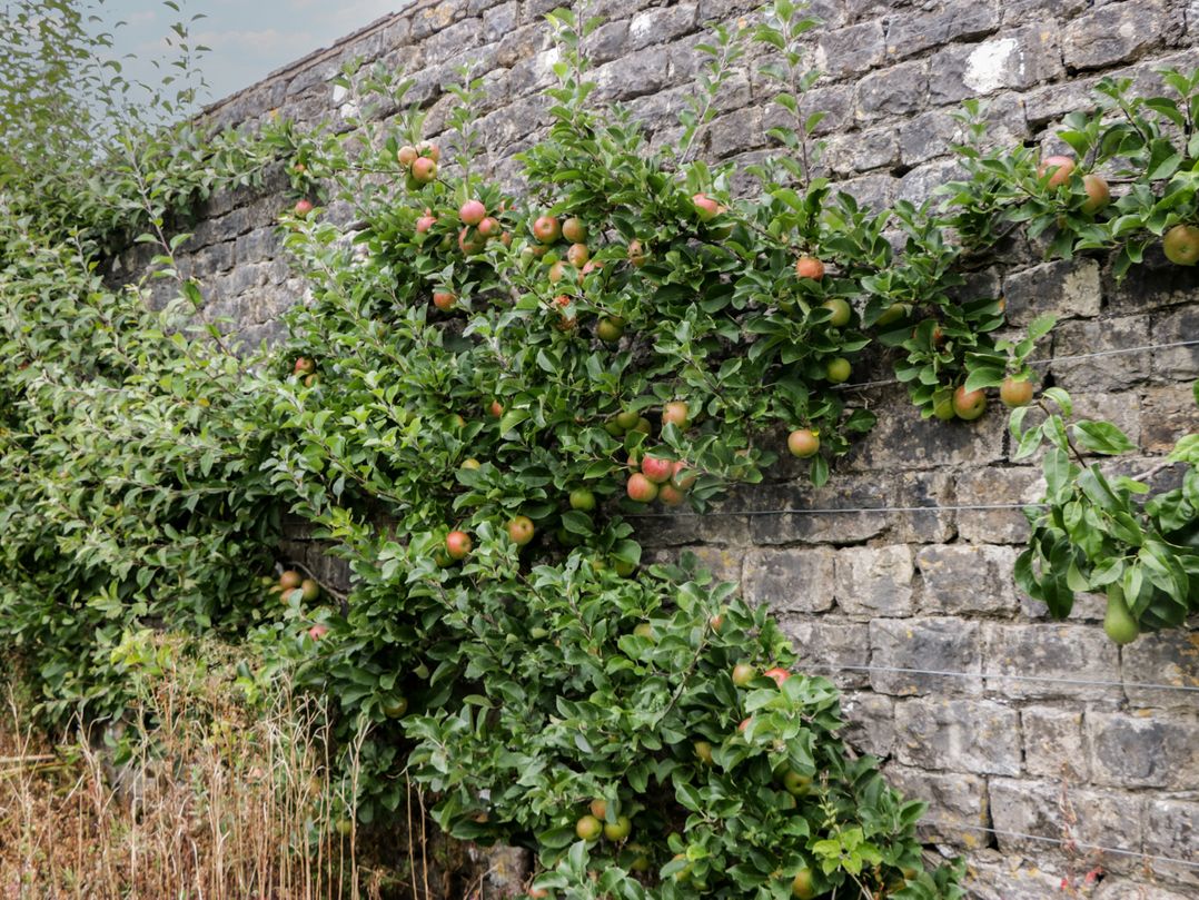 The Gameskeepers Cottage