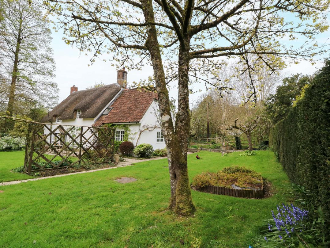 Plush Cottage