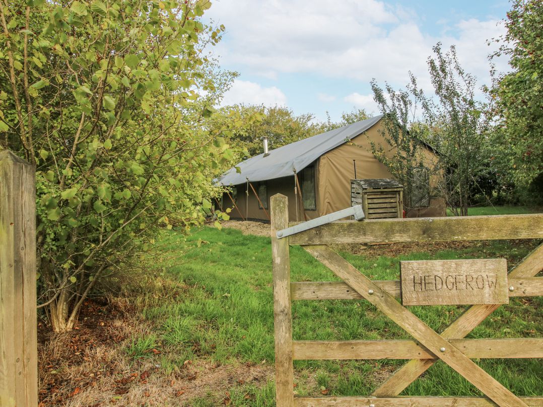 Hedgerow