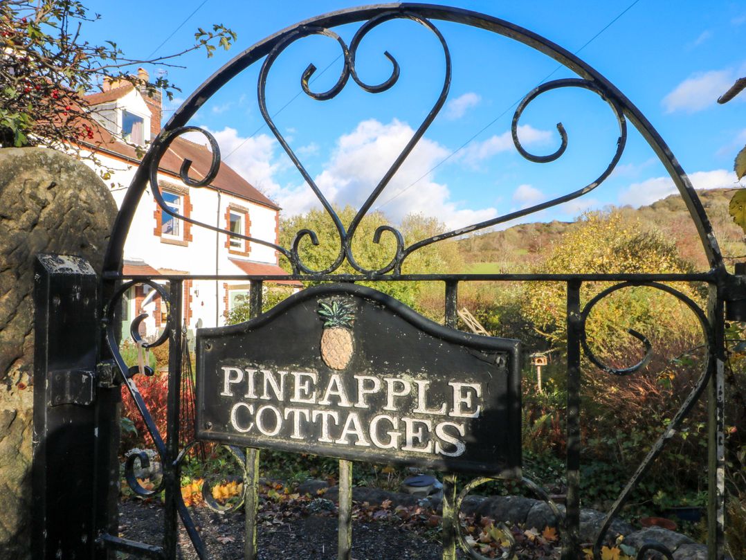 Pineapple Cottage