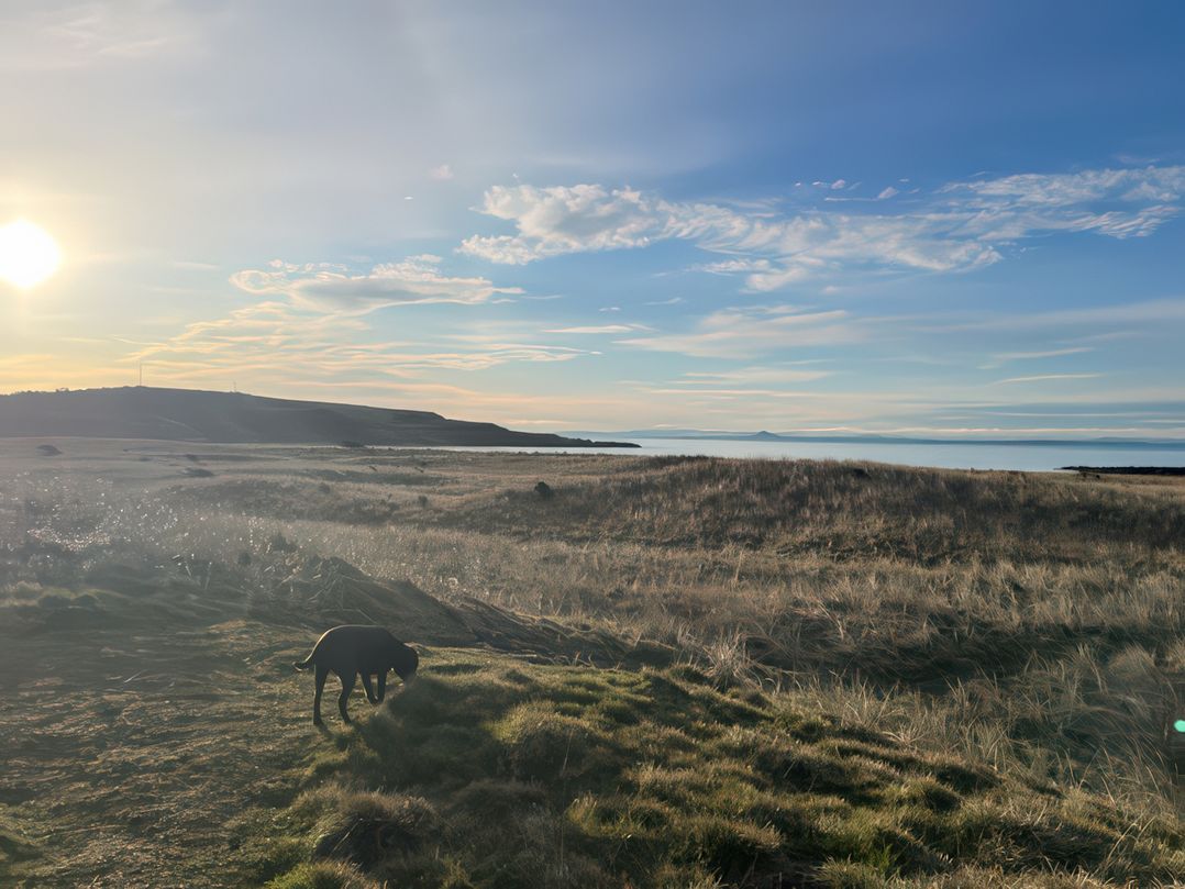 5 Rush Grove Caravan