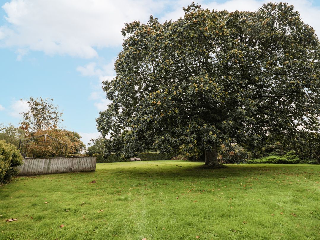 Rushmoor Cottage
