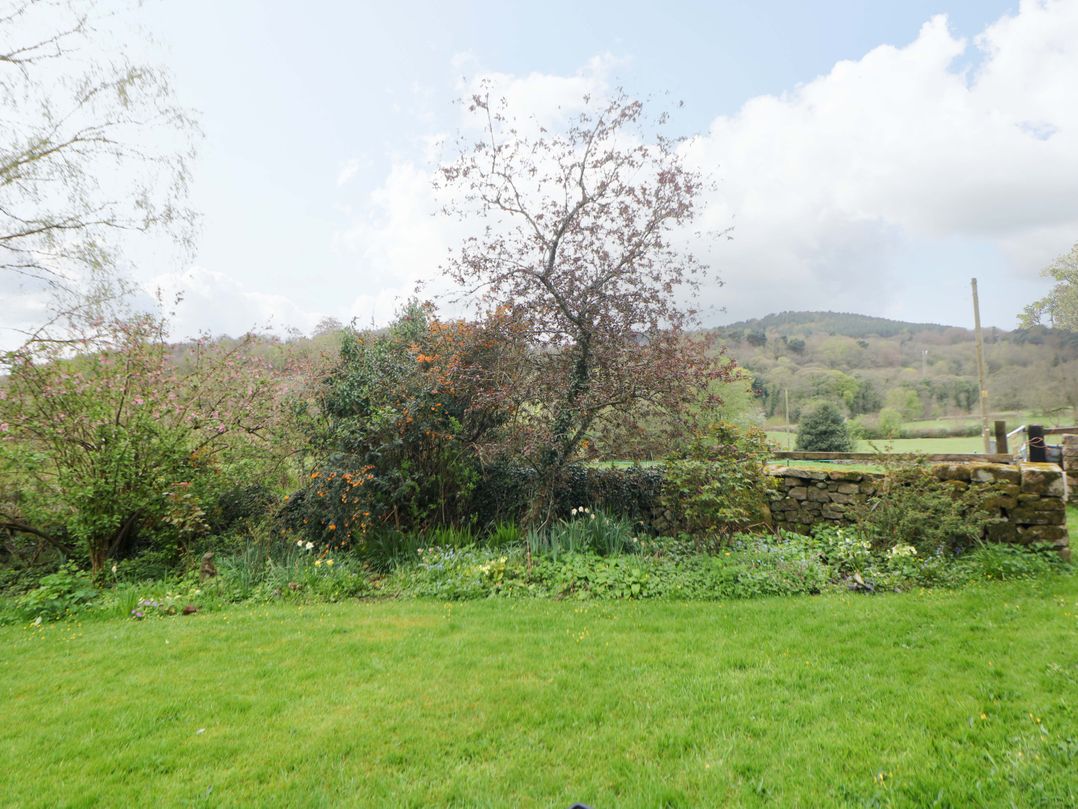Meadow View Cottage