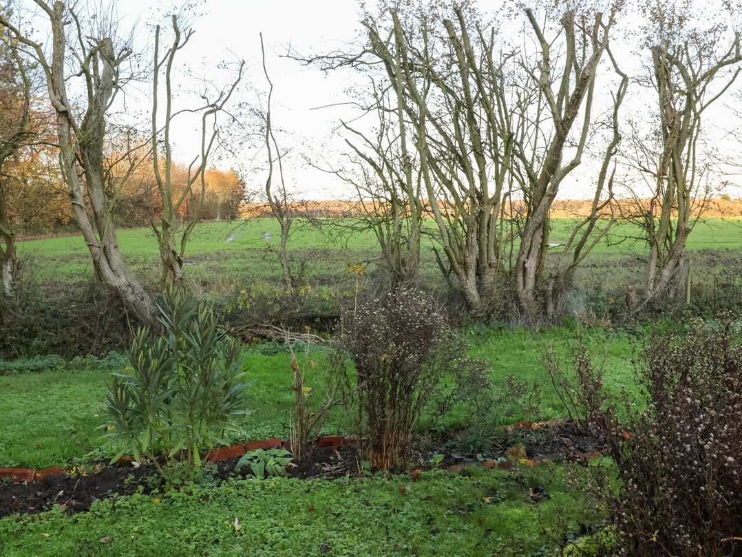 The Hare & the Bumblebee Cottage