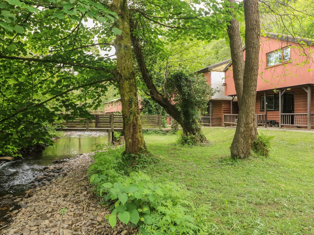 Cabin No. 5 - Salt and Fern Cabins