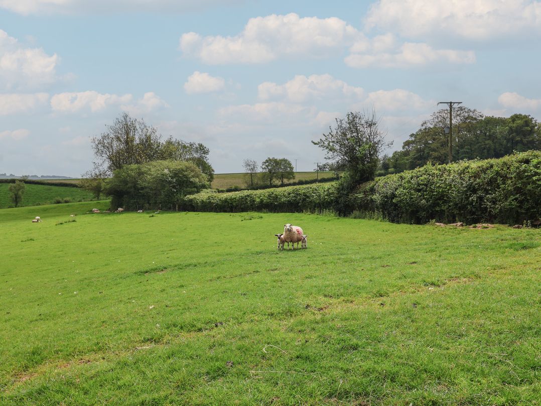 Ellishayes Farm